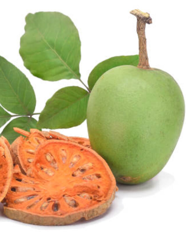 Useful Health benefit of Consuming Bael fruit